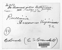 Image Associated With the Occurence